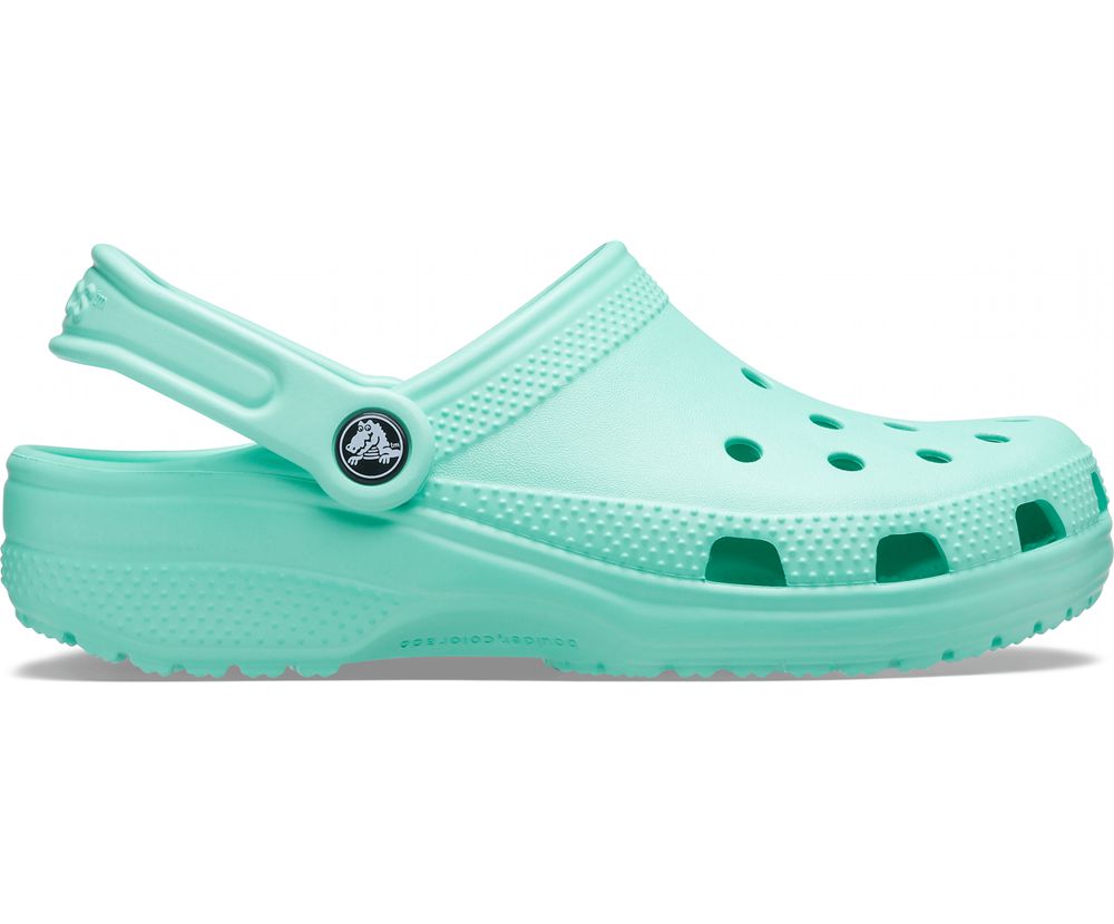 Crocs Classic Træsko Herre Turkis | 403-EYIMDS