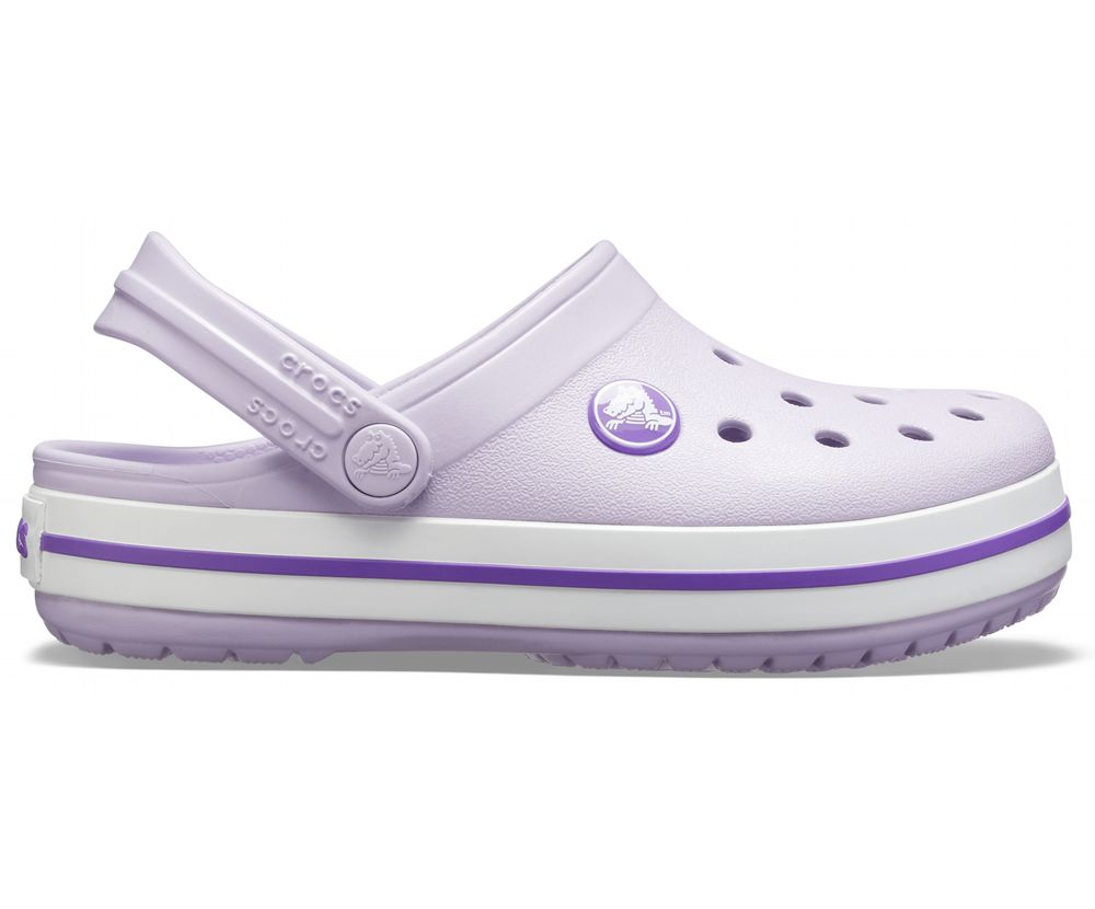 Crocs Crocband™ Træsko Drenge Lilla | 259-CRXZHK