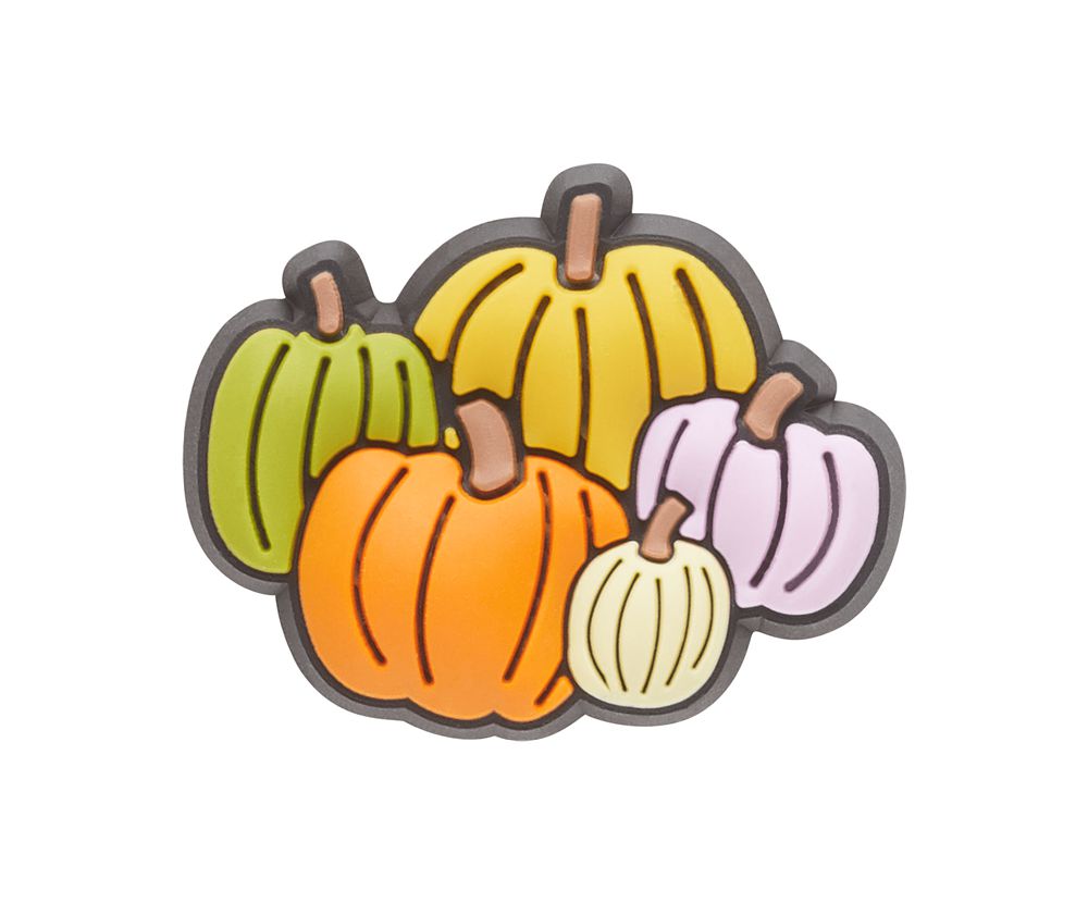 Crocs Pumpkin Patch Jibbitz Dame Flerfarvede | 359-NLPKFO