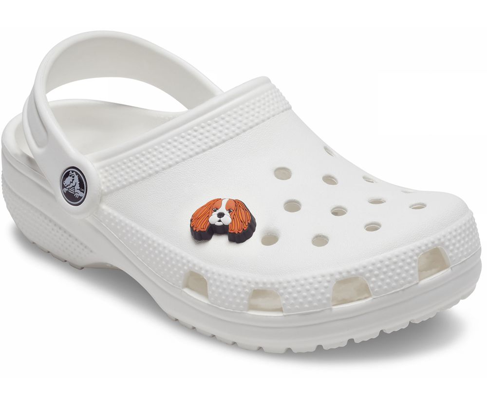 Crocs Cavalier Dog Jibbitz Dame Brune | 508-REDZQO