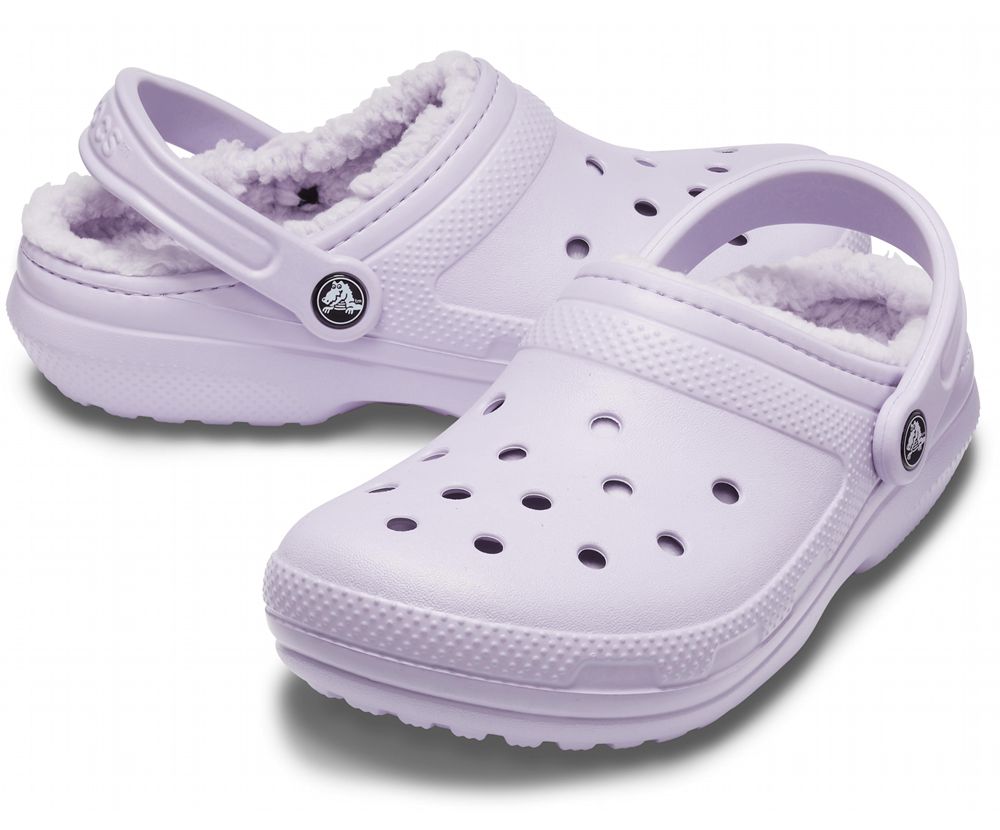 Crocs Classic Forede Træsko Herre Lilla | 879-YMDVOS