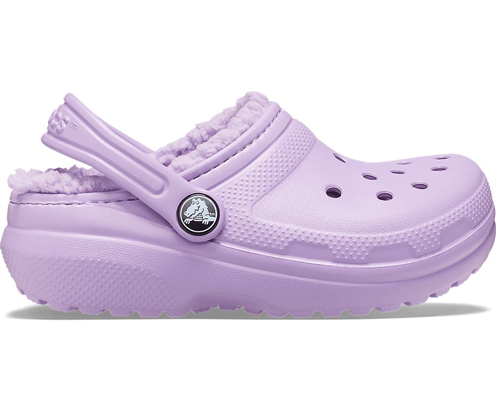 Crocs Classic Forede Tøfler Drenge Lilla | 648-UPDGZQ