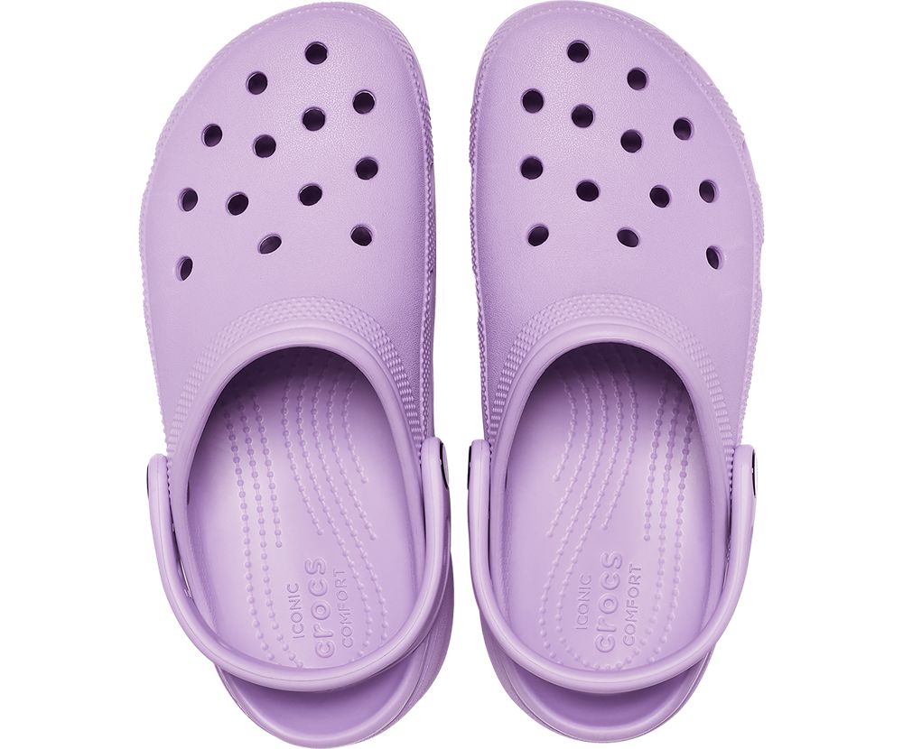 Crocs Classic Platform Træsko Dame Lilla | 934-PZDCBS