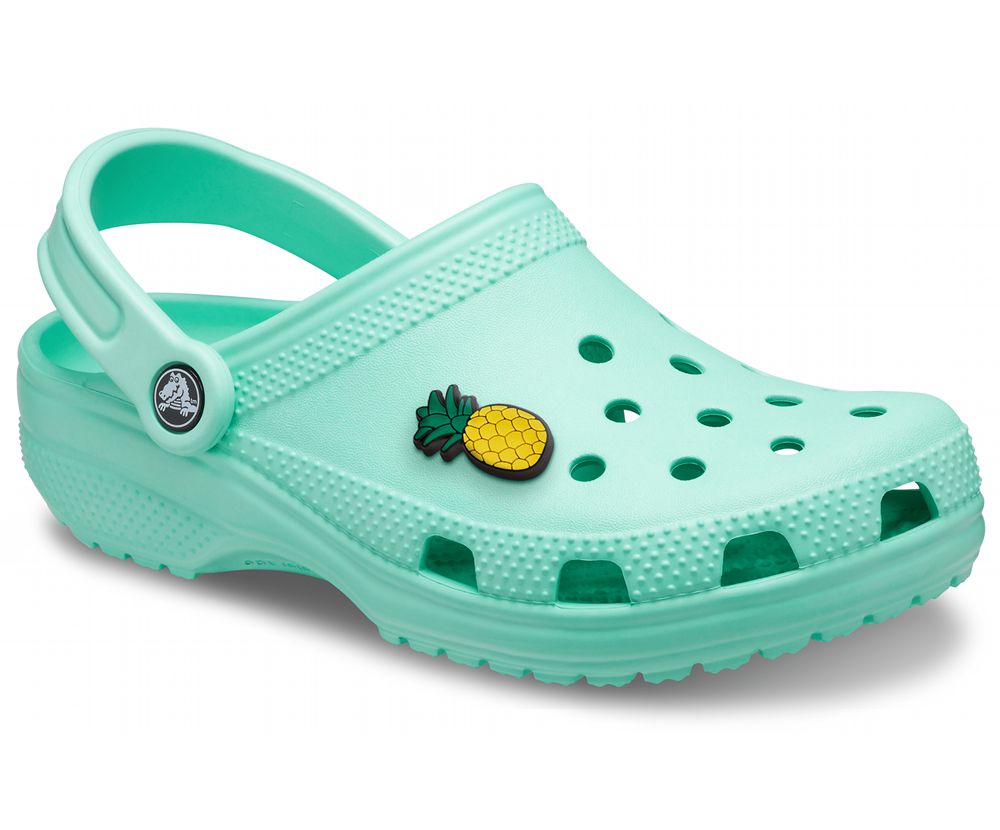 Crocs Classic Træsko Dame Grøn | 714-ZPSYLA