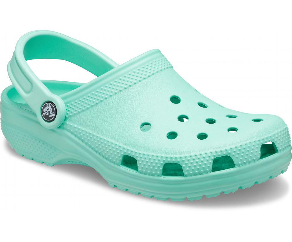 Crocs Classic Træsko Dame Grøn | 714-ZPSYLA