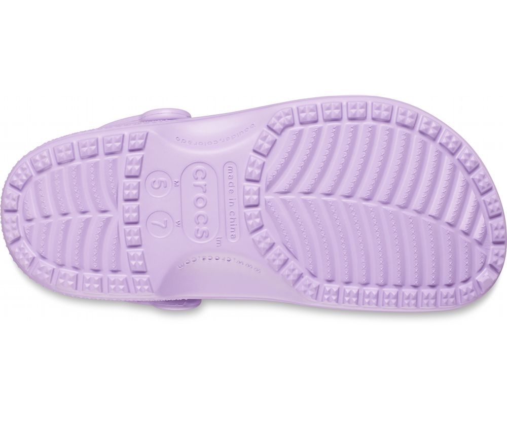 Crocs Classic Træsko Dame Lilla | 837-RGTBQE