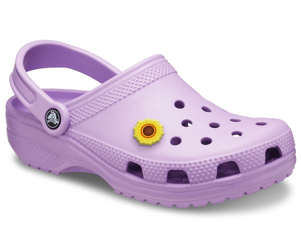 Crocs Classic Træsko Dame Lilla | 837-RGTBQE