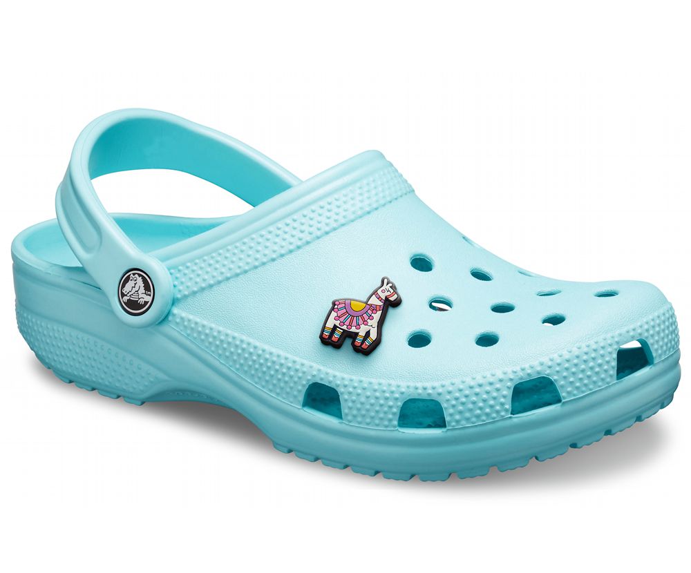 Crocs Classic Træsko Dame Turkis | 783-POTKXN