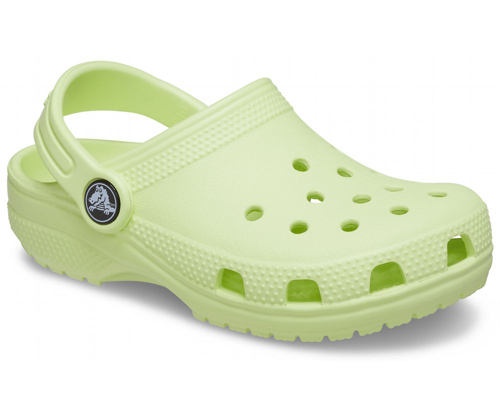 Crocs Classic Træsko Drenge Grøn | 986-ZIFHWV