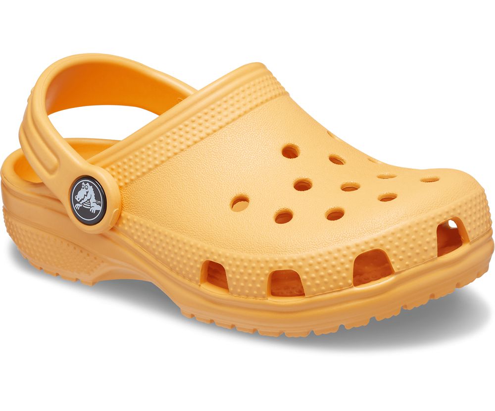 Crocs Classic Træsko Drenge Orange | 948-SXDTMH