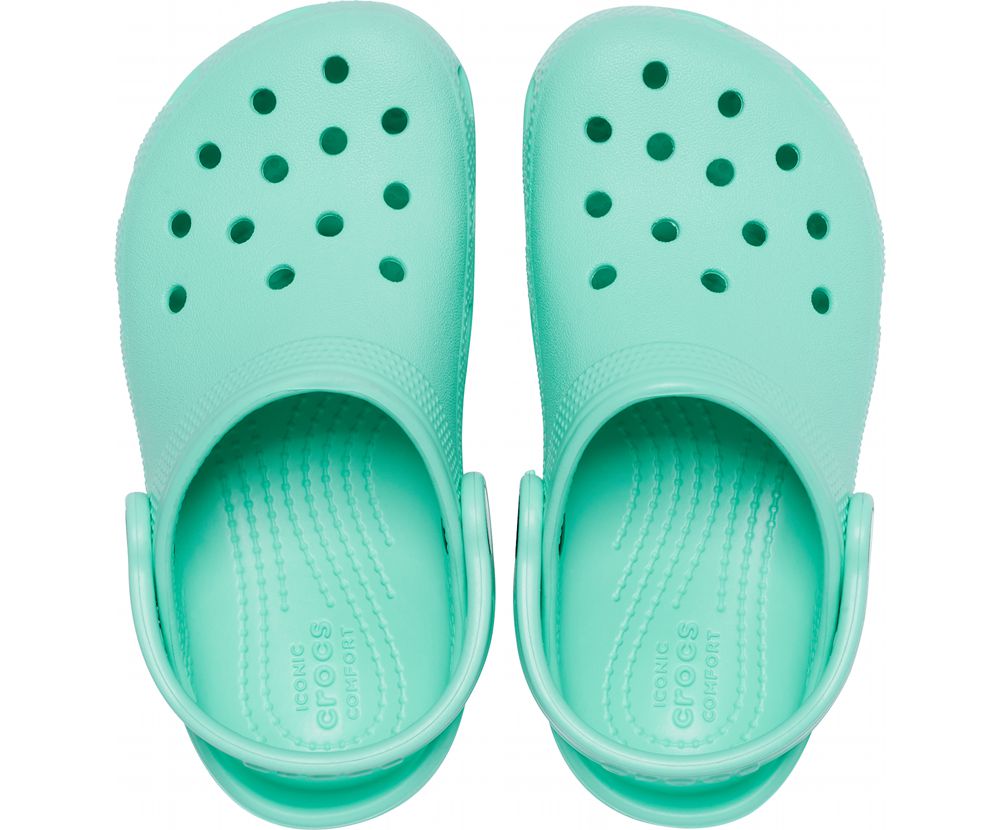 Crocs Classic Træsko Drenge Turkis | 304-HIGFVB