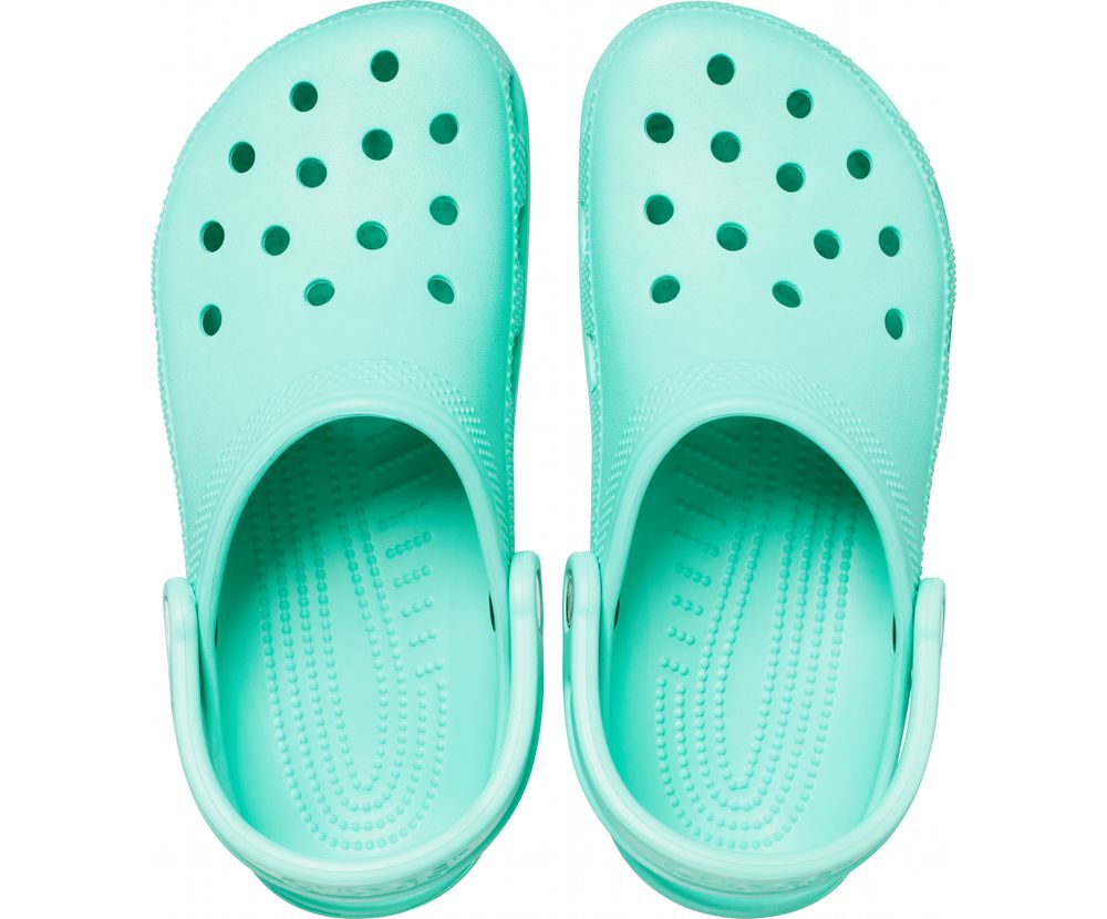 Crocs Classic Træsko Herre Turkis | 403-EYIMDS