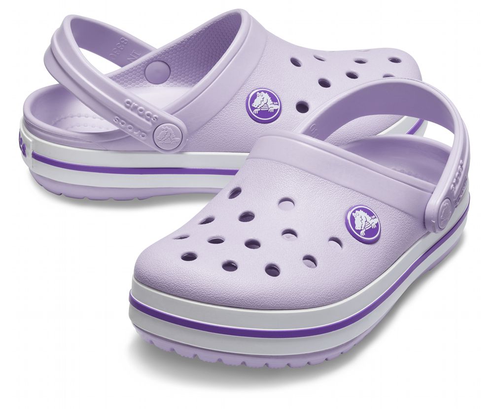 Crocs Crocband™ Træsko Drenge Lilla | 259-CRXZHK