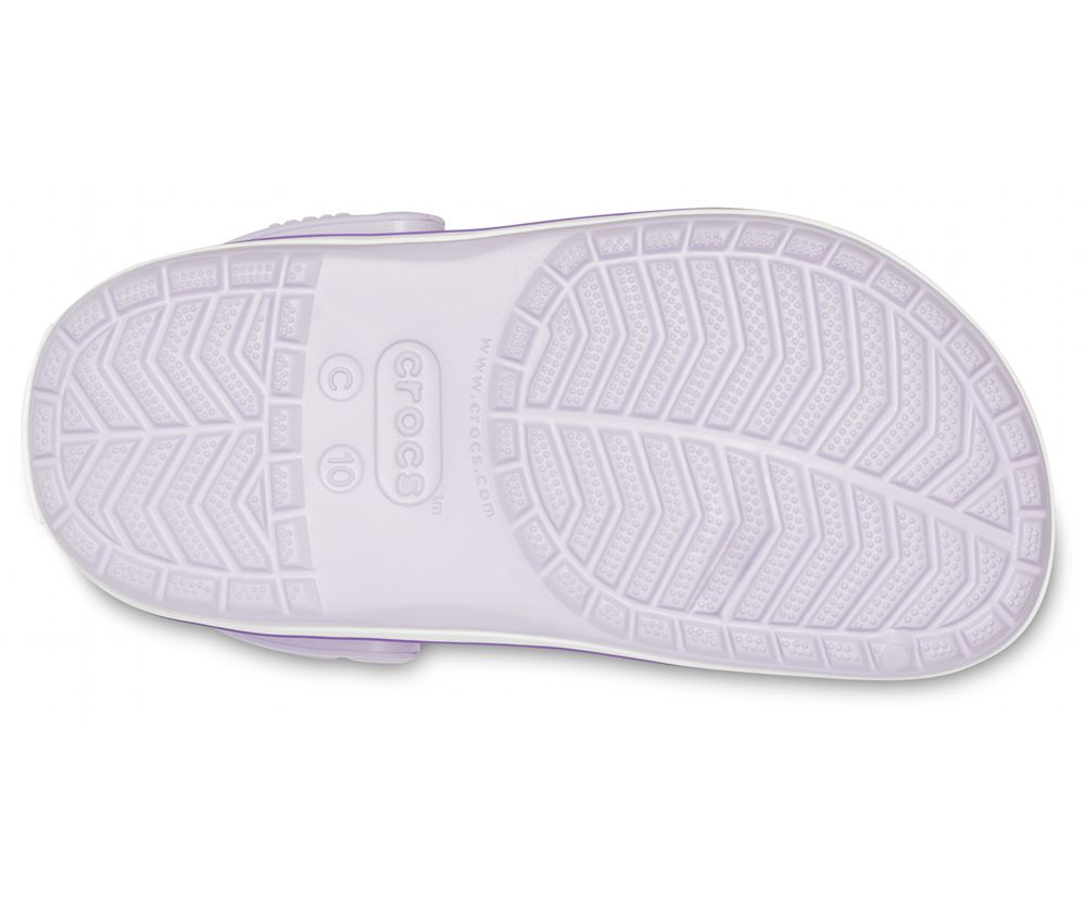 Crocs Crocband™ Træsko Drenge Lilla | 259-CRXZHK