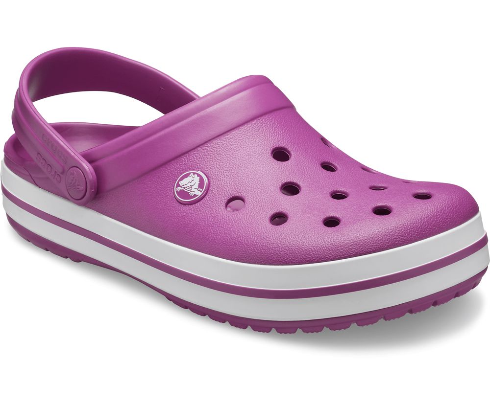 Crocs Crocband™ Træsko Herre Lilla | 216-SFHVQB