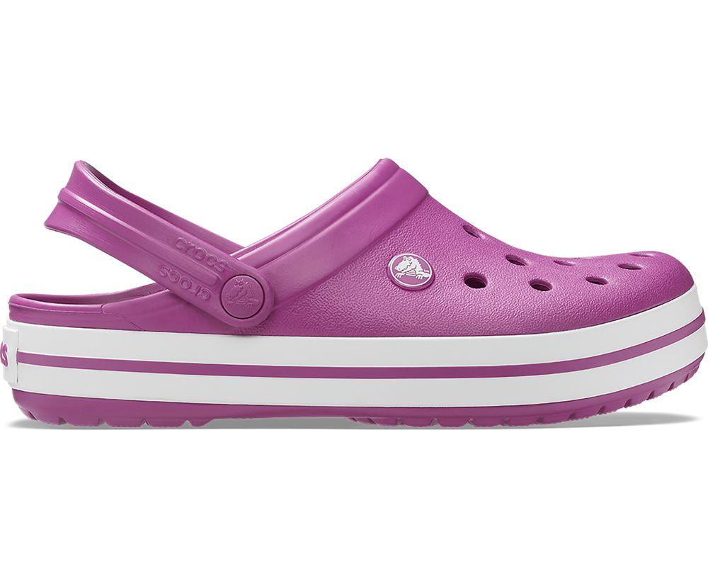 Crocs Crocband™ Træsko Herre Lilla | 216-SFHVQB