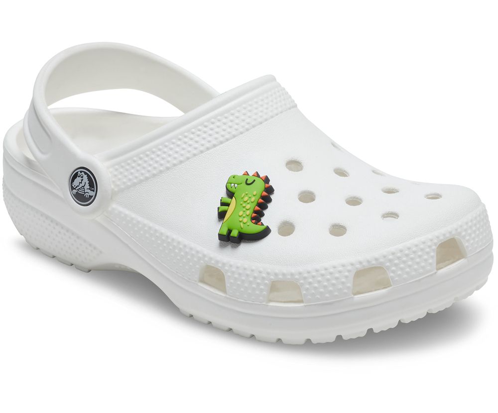 Crocs Dino Jibbitz Dame Grøn | 016-BWYFUX