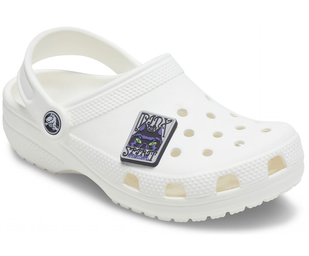 Crocs Disney Hocus Pocus Binx Jibbitz Dame Grå | 964-FDIXSG