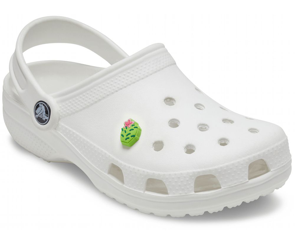 Crocs Flower Cactus Jibbitz Dame Grøn | 704-ZBSMDV