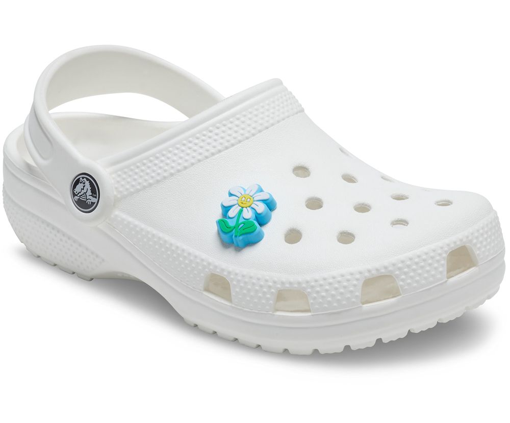 Crocs Flower Power Jibbitz Dame Blå | 615-WXFYBL