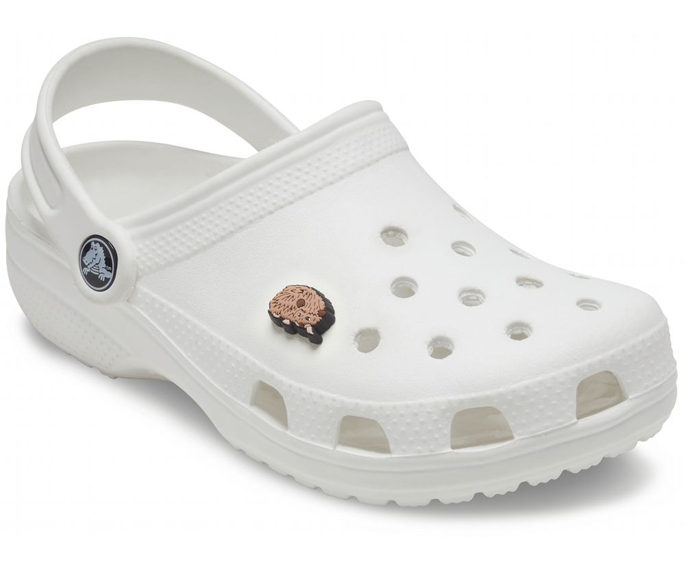 Crocs Hedgehog Jibbitz Dame Brune | 204-YQIPTC