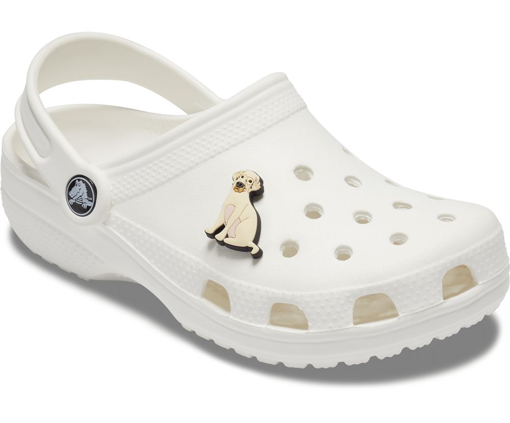 Crocs Lab Jibbitz Dame Beige | 945-XYQITF