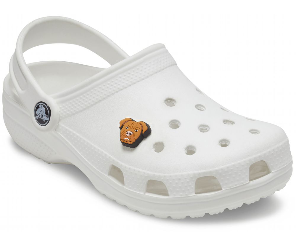 Crocs Pitbull Jibbitz Dame Brune | 739-JSWXNC