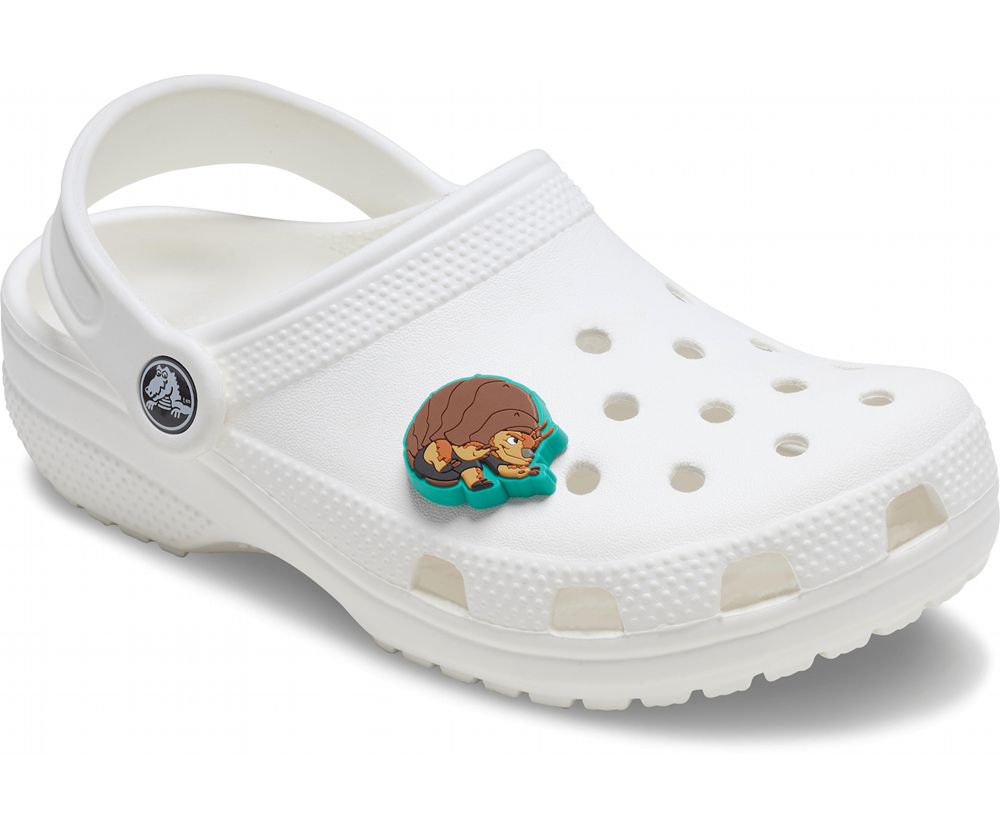 Crocs Raya And The Last Dragon Tuk Tuk Jibbitz Dame Brune | 390-GUVJKM