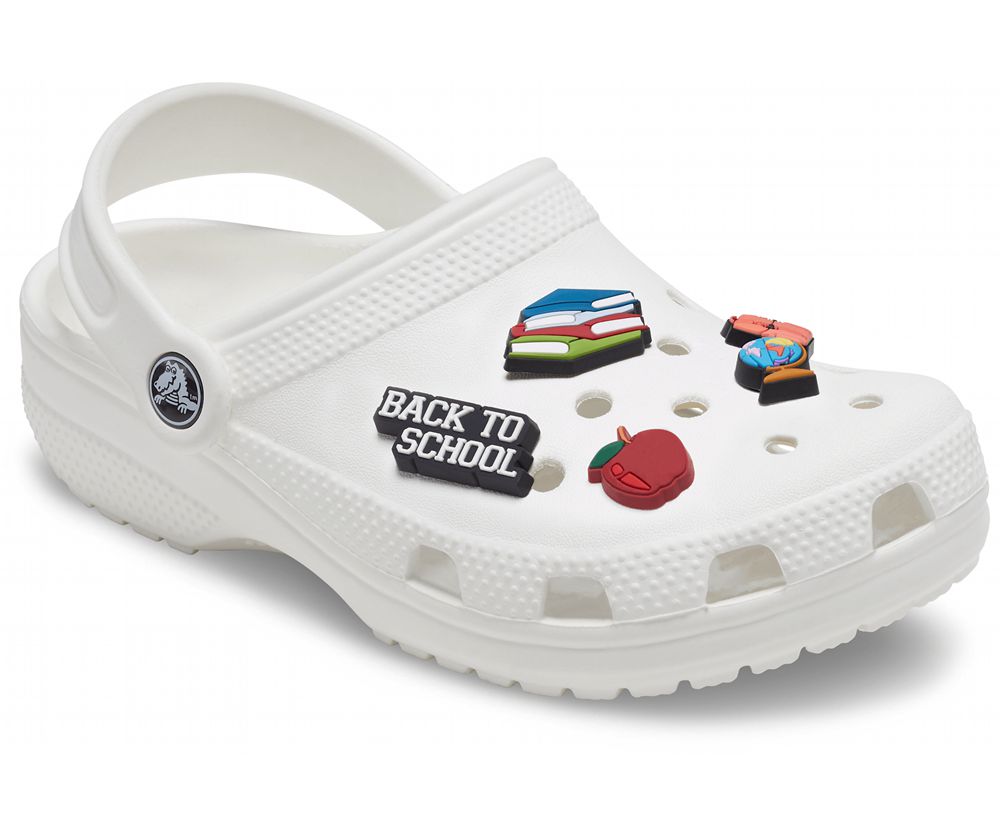 Crocs School Teacher 5 Pack Jibbitz Dame Flerfarvede | 598-FOPGBZ